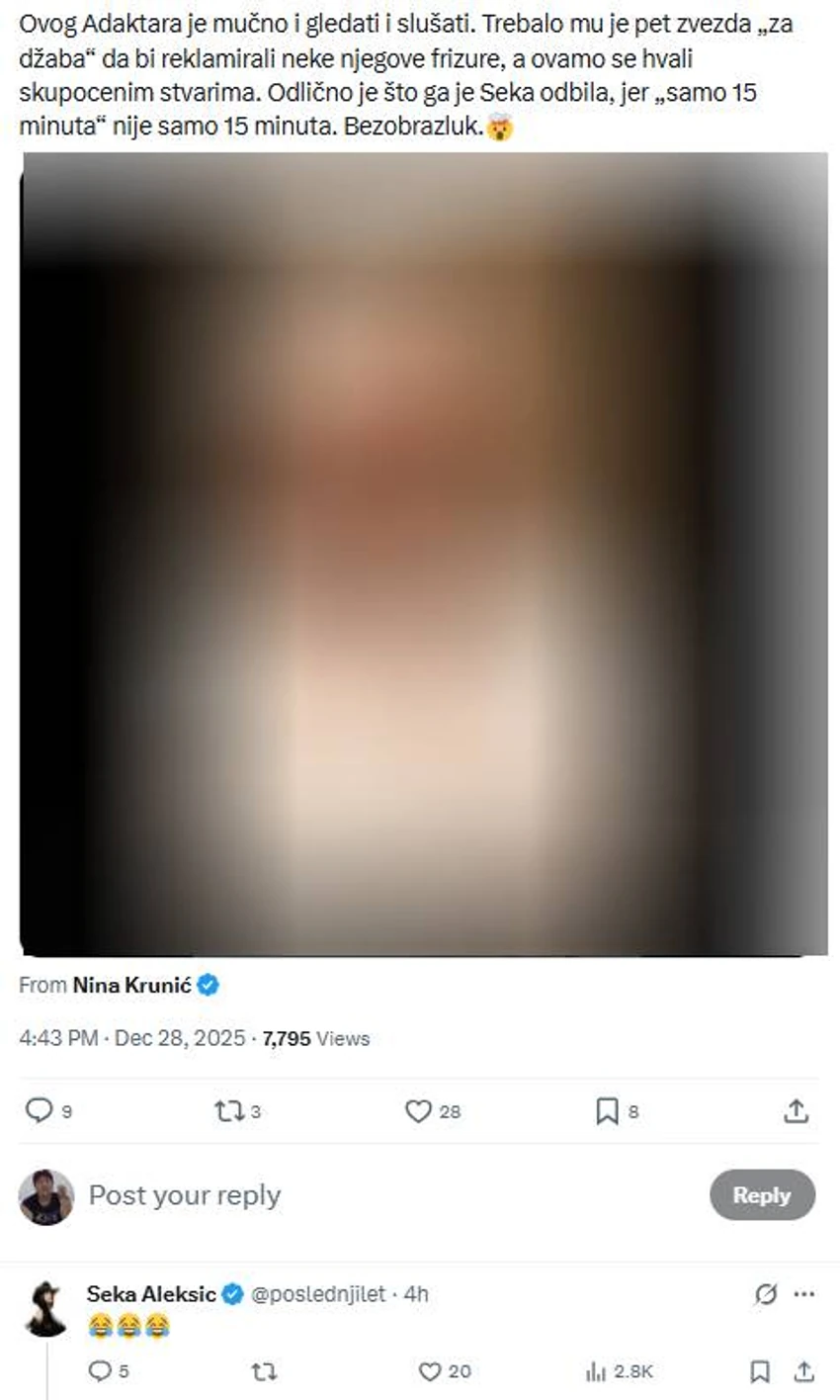 Seka Aleksić, komentar