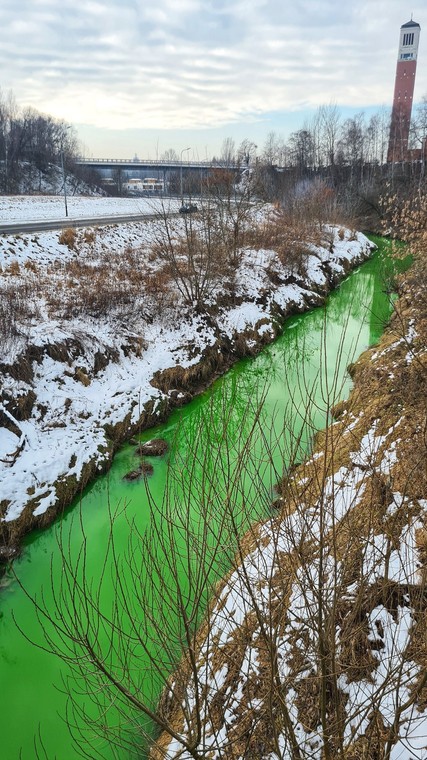 Jasnozielona woda w Wildze w rejonie Swoszowic w Krakowie