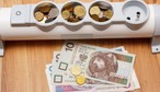 Ceny energii elektrycznej w 2026 r. Ten składnik rachunku za prąd nie wzrośnie