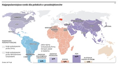 Polskie firmy internetowe podbijają nawet egzotyczne rynki