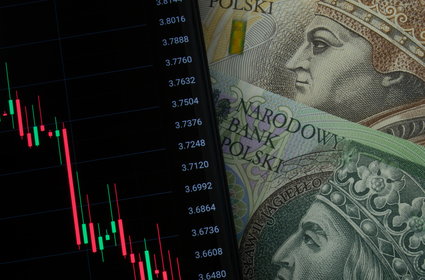 Polska waluta błyszczy na świecie. Prognozy dają złotemu jeszcze duże możliwości
