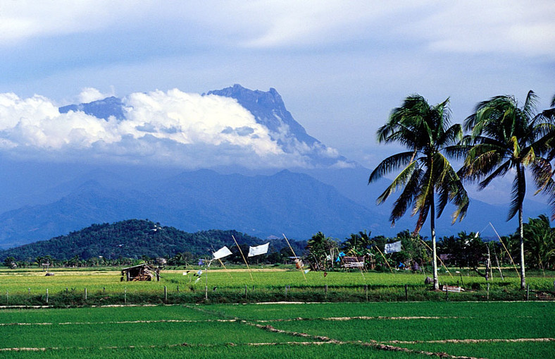 Kinabalu