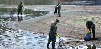 Katastrofa ekologiczna na Odrze. Ekspert: zakwit złotych alg może spowodować katastrofalną reakcję łańcuchową