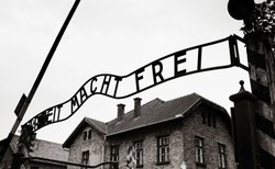 Człowiek po dotarciu do Auschwitz tracił wszystko. Stawał się numerem [WYWIAD]