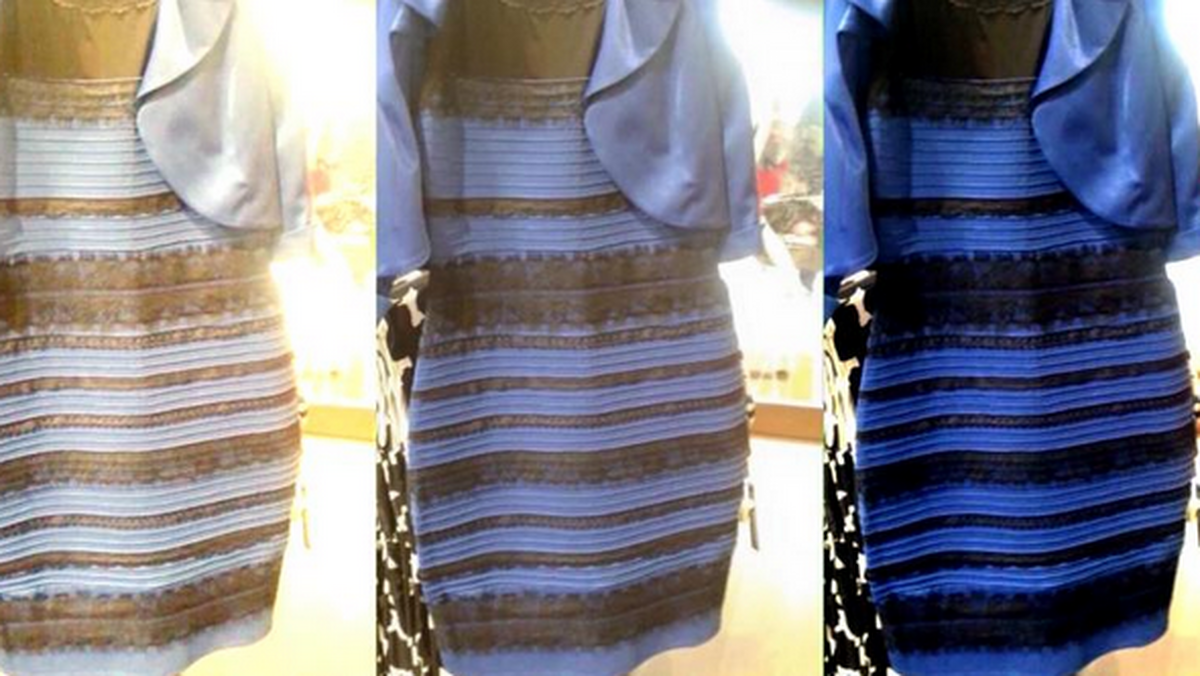 Tajemnica koloru sukienki rozszyfrowana | Newsweek