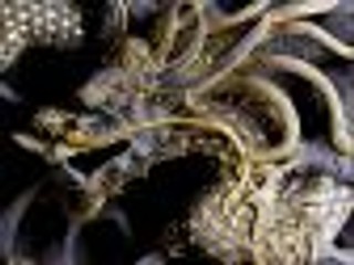 Michael Connelly 'Dziewięć smoków'