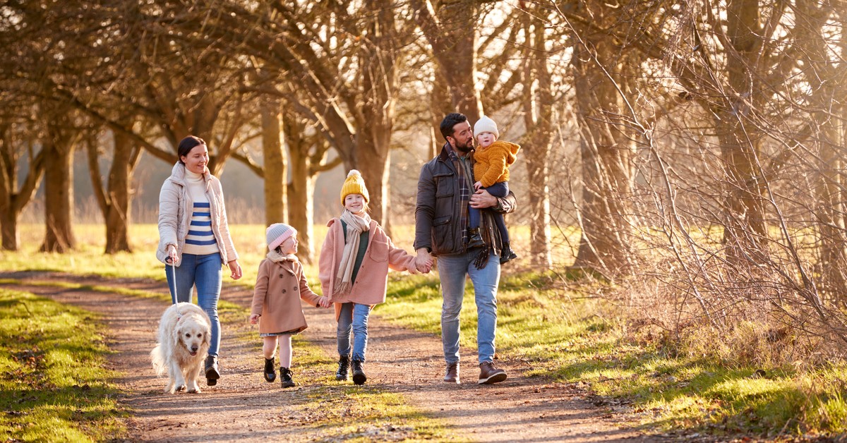 Dodatkowy dzień wolny w listopadzie – czy trzeba anulować wnioski urlopowe?