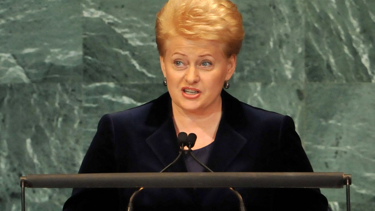 Litwa nie ma wyboru, powinna współpracować z Polską i nie koncentrować się jedynie na problemach mniejszości narodowych - ocenili posłowie komitetu spraw zagranicznych litewskiego Sejmu po spotkaniu z prezydent Dalią Grybauskaite.