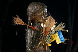 Senat Irlandii uznał Hołodomor za ludobójstwo