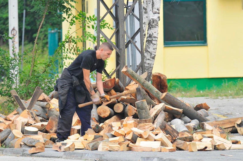 Isečete drva, odložite, i sve to posle počistite da ne biste platili kaznu