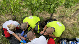 Átadták a magyar rendőrségnek a horvát nőt, aki a márfai szőlőhegyen hagyta újszülött gyermekét