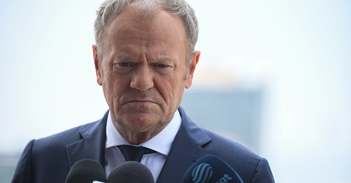 Niemcy rozczarowane Tuskiem. "Bezradny i bojaźliwy wobec PiS i Konfederacji"