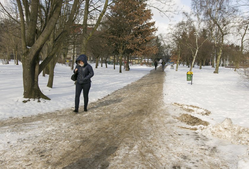 Na odśnieżanie w Gdańsku idą miliony