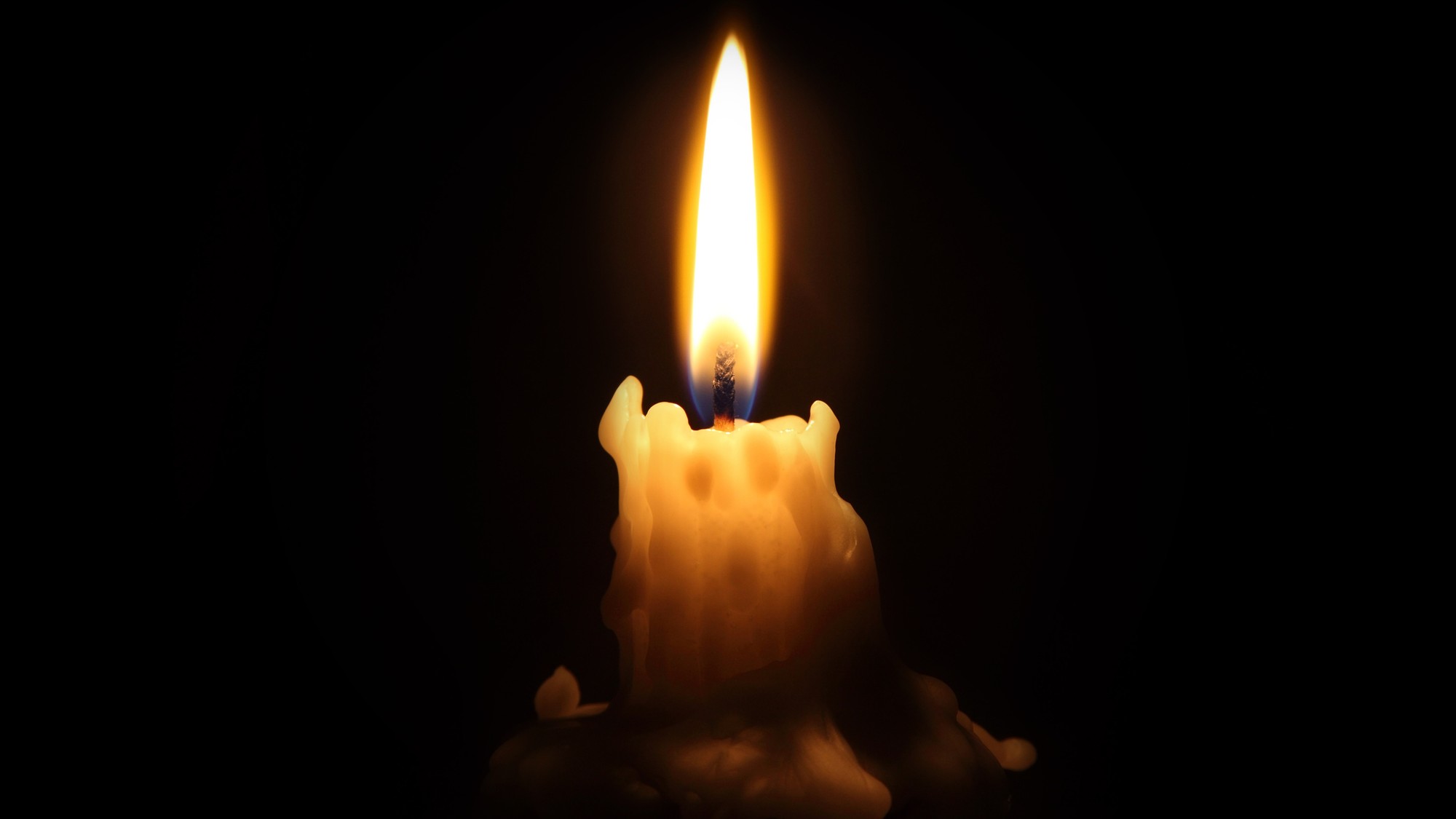 Vo veku 84 rokov zomrela herečka Elizabeth Franz. (ilustračné foto).