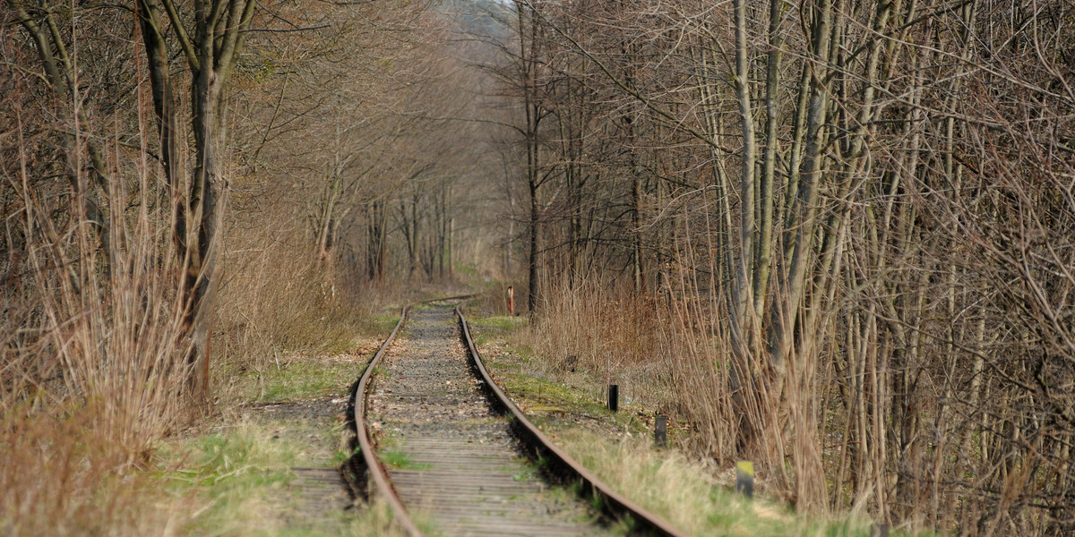 Do zakończenia naboru wniosków i podpisania umów z samorządami nie można wskazać, jakie inwestycje i kiedy zostaną zrealizowane.