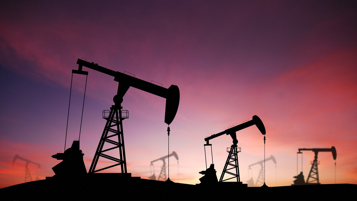 Cena ropy spadła poniżej psychologicznej bariery 40 dol. za baryłkę. Międzynarodowa Agencja Energetyczna (MAE) ogłosiła dziś, że niskie ceny utrzymają się w 2016 r., ponieważ wolno rośnie popyt na ropę a "sytuacja makroekonomiczna jest wyjątkowo niepewna".