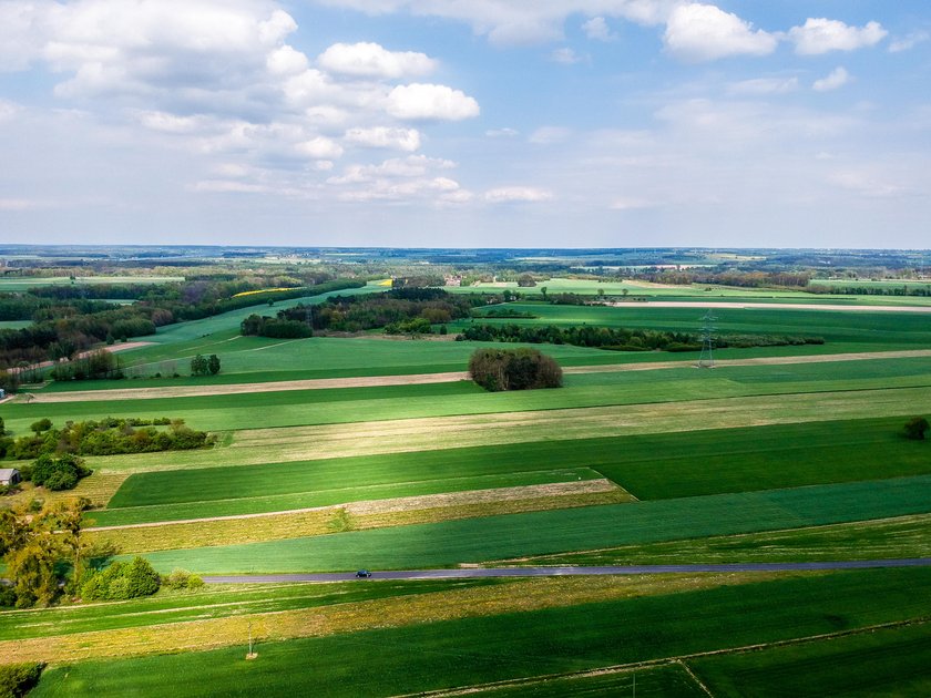 Chlewnia w Lubowidzy pod Łodzią? Protest rolników