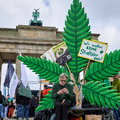 Niemiecki rząd wskazał limit, do którego nie będzie karane posiadanie marihuany