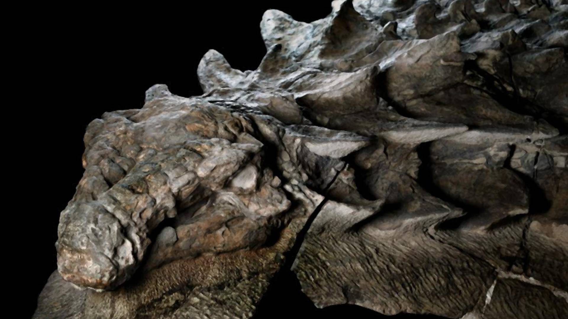 Svetu otkriven najočuvaniji fosil dinosaurusa - star 110 miliona godina
