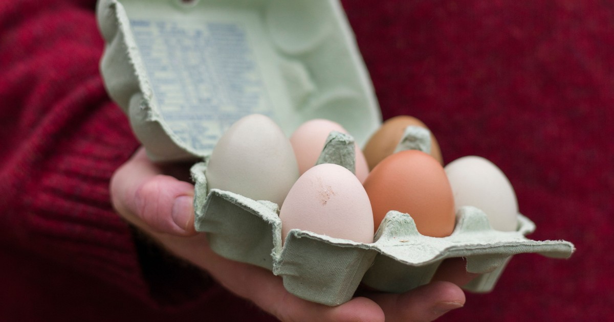 ¿Son los huevos de gallinas camperas realmente más saludables? La nutricionista lo dice claro