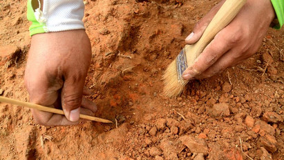 Most jött: megtalálták a régész holttestét, akit 2015-ben fejezett le az Iszlám Állam