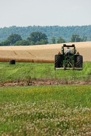 Zasiłki rodzinne: liczy się samo posiadanie gospodarstwa rolnego