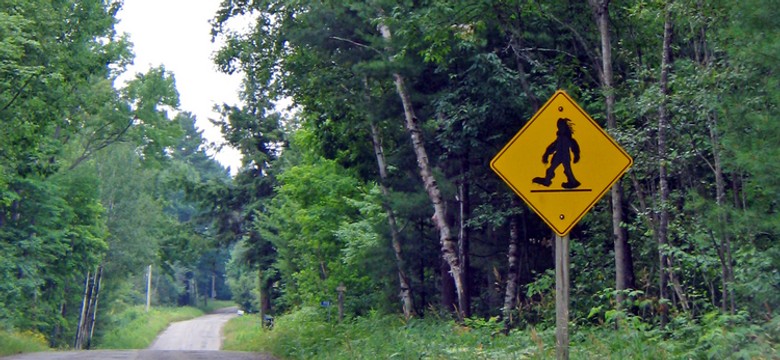 W poszukiwaniu Wielkiej Stopy