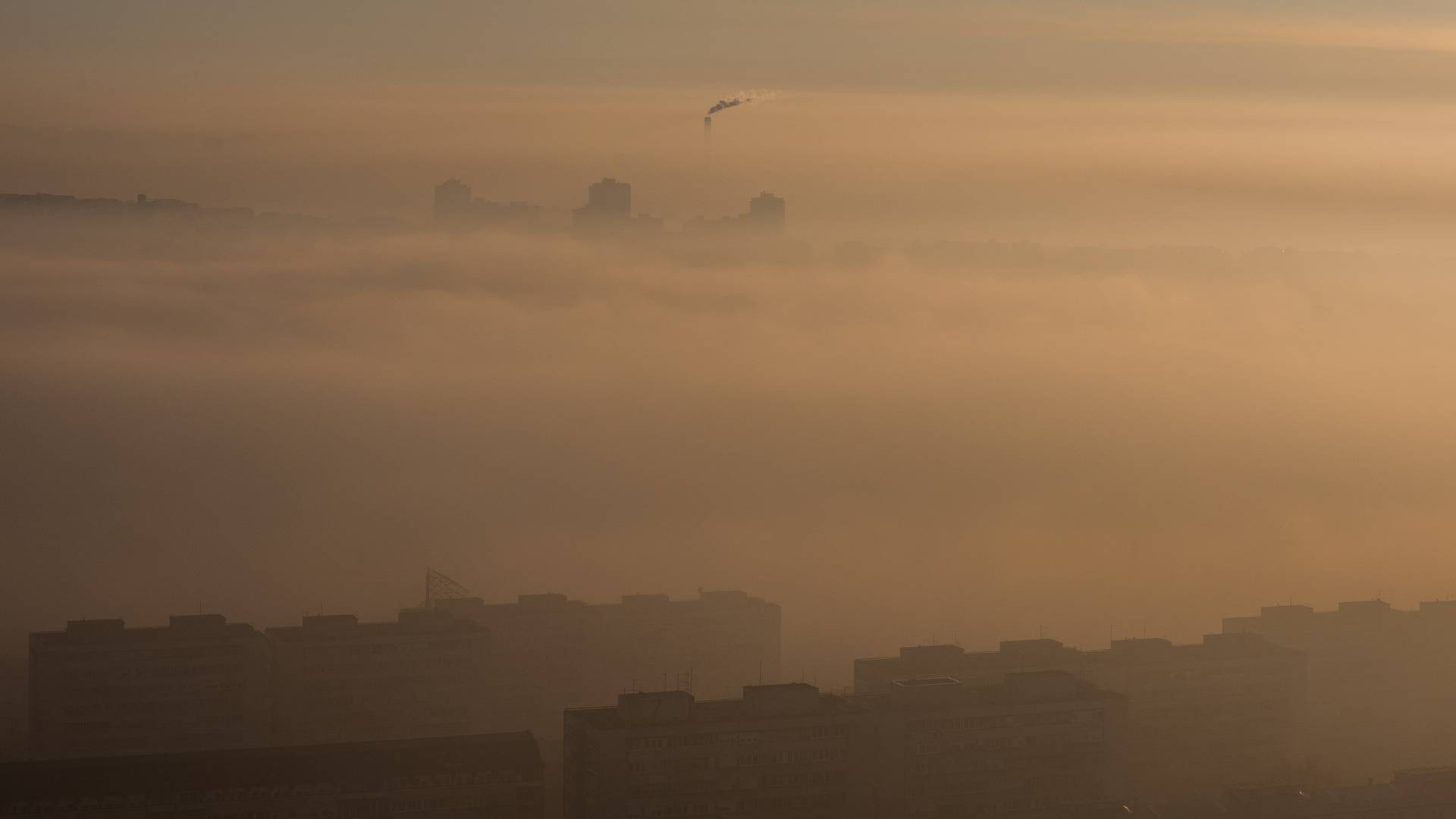 Kako zaista izgleda ljubičasti alarm u Beogradu?