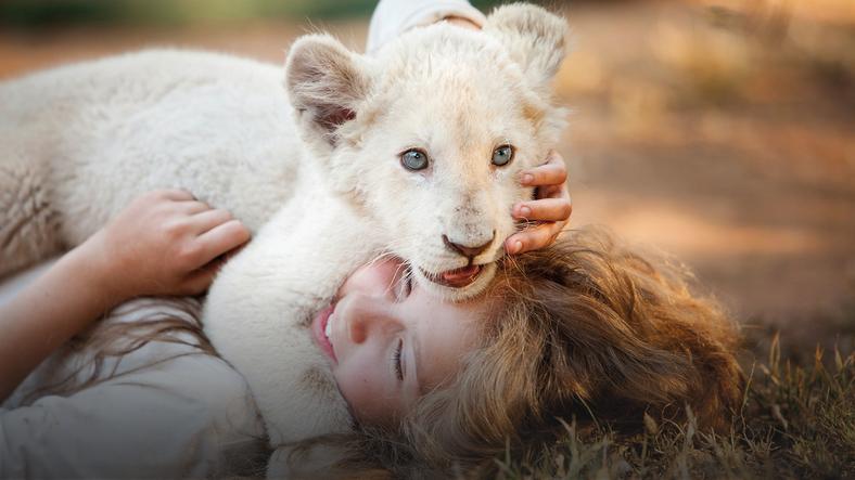 mia és a fehér oroszlán videa