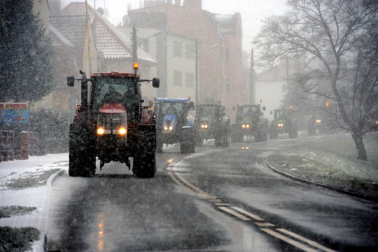 <b>Rolnicy blokują drogi</b>
<br>
<br>
Groźnie dla rządu mogą okazać się pikiety rolników, którzy już zaczęli blokować drogi.
<br>
<br>
Rolnicy domagają się od gabinetu Ewy Kopacz natychmiastowej wypłaty odszkodowań dla tych, którzy ponieśli straty finansowe spowodowane przez dziki oraz rekompensat za pogarszającą się sytuację na rynkach rolnych, spowodowaną głównie przez dwuletni zakaz uboju rytualnego, a także rosyjskie sankcje.
<br>
<br>
Protestujący chcieli też spotkania w tej sprawie z samą premier, ale ta delegowała do tego zadania ministra rolnictwa. Rozmowy rolników z Markiem Sawickim zostały jednak zerwane, a sam minister tłumaczył, że rząd spełnił tyle postulatów demonstrantów, ile mógł, ale w kwestii rekompensat za kwoty mleczne i trudną sytuację na rynku wieprzowiny wszelka pomoc państwa musi być zaakceptowana przez KE. Ministerstwo miało przygotować wnioski w tej sprawie.
<br>
<br>
<a  href=