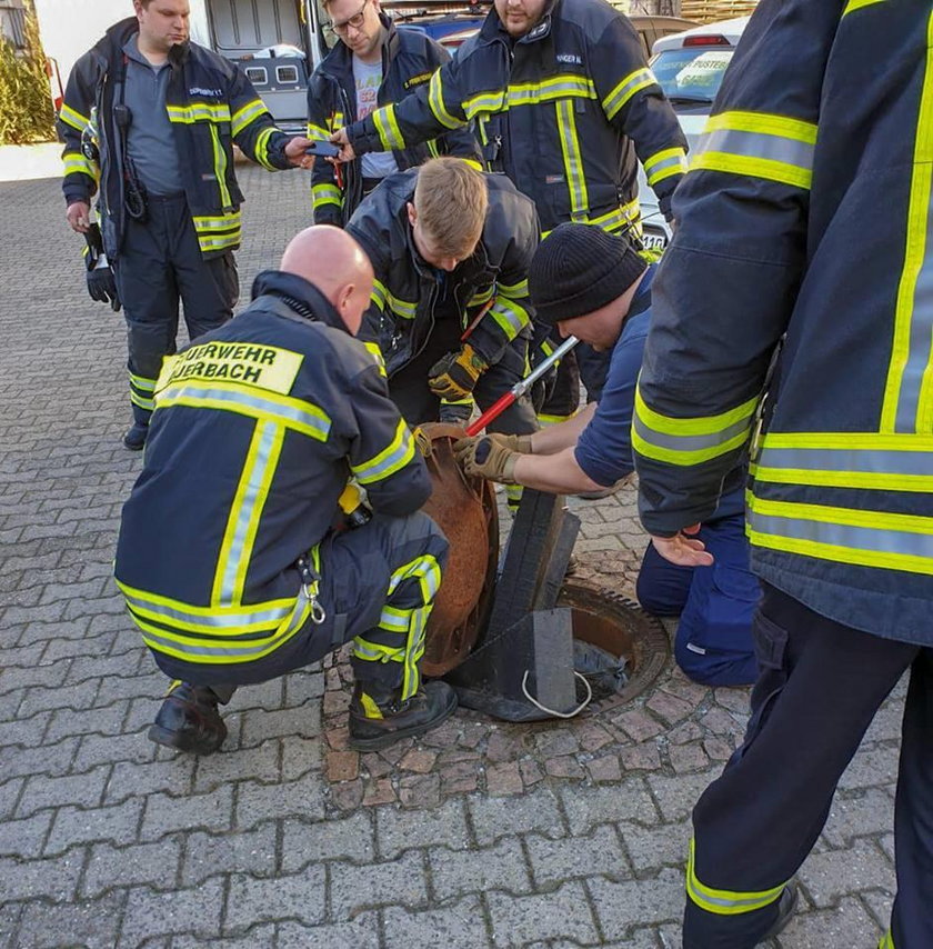 Nietypowa akcja strażaków w Niemczech. Uratowali... szczura