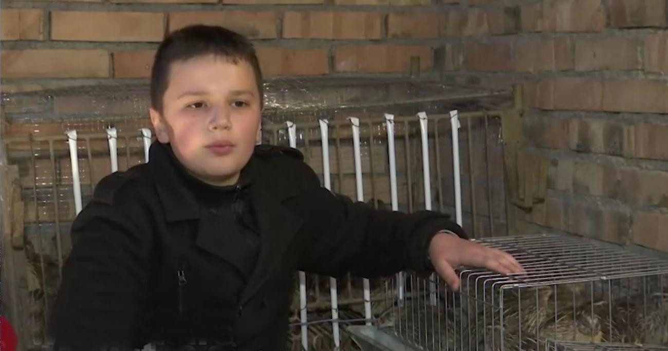 &#34;Želeo sam da to uradim sam&#34;: Mateja (12) iz Vršca je najmlađi uzgajivač živine u Srbiji: Sa samo 8 godina je pokrenuo biznis ideju, a evo kako je iskoristio prvi džeparac (foto)