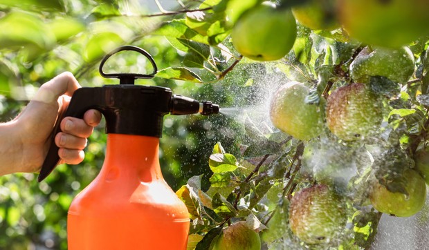 Pesticidi mogu da izazovu glavobolje, mučninu, dijareju i otežano disanje