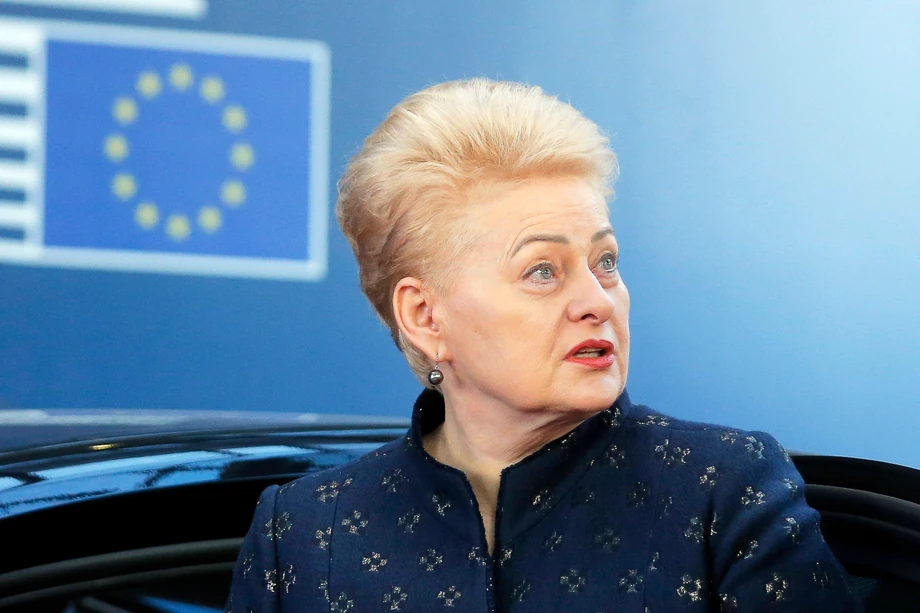 Dalia Grybauskaitė podczas spotkania z przywódcami unijnymi.