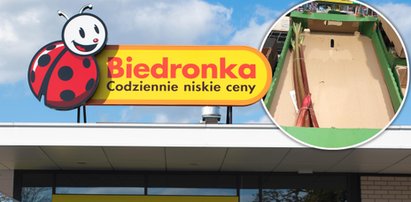 Bitwa o rabarbar. Takie zaskoczenie w Biedronce