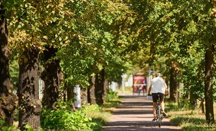 W Kółko Kręcę. Startuje ósma edycja!