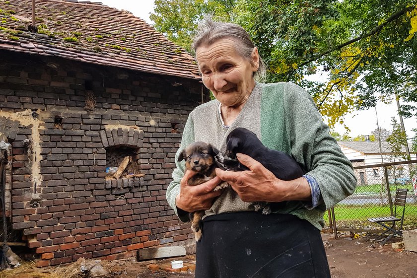 Ten maluszek został uratowany z pani Bronisławy