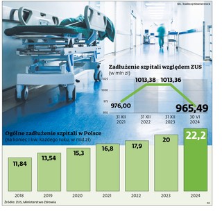 Ogólne zadłużenie szpitali w Polsce (na koniec I kw. każdego roku, w mld zł)