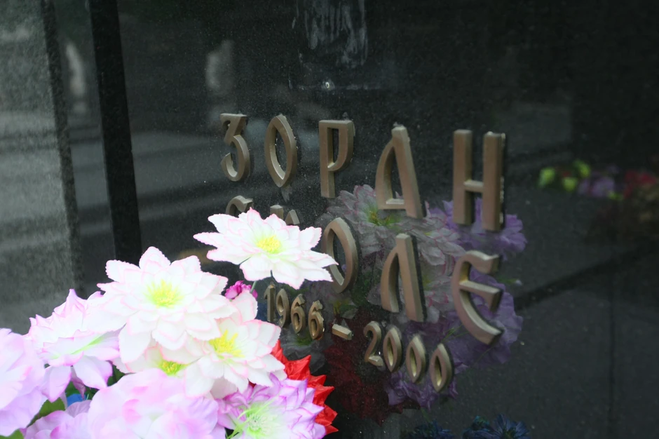 Zoran Uskoković Skole 