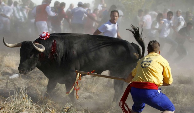 74121_108-afp-cesar-manso