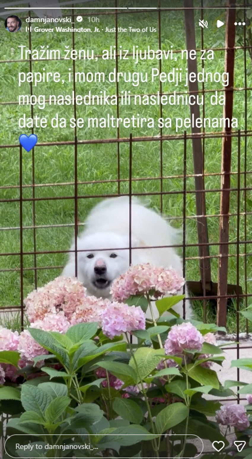 Peđa Damnjanović