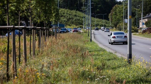 Wyższa trawa i roślinny naturalnie występujące na łąkach mają pozytywny wpływ zarówno na poziom wilgotności, jak i temperaturę.
