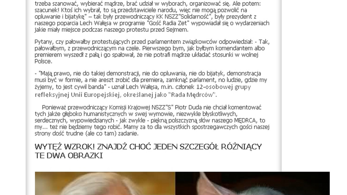 Na stronie solidarnosc.torun.pl umieszczono zdjęcie przedstawiające Lecha Wałęsę w porównaniu ze zdjęciem świni. Nad porównaniem znajduje się napis: "Wytęż wzrok! Znajdź choć jeden szczegół różniący te dwa obrazki".