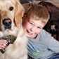 Autism Assistance Service Dog Transforms Boy’s School Experience