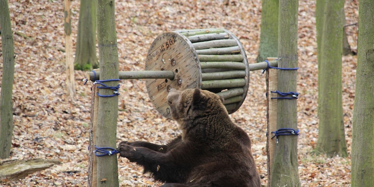 poznanskie zoo