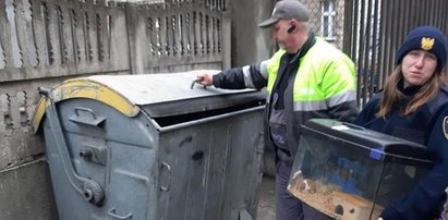 Zwyrodnialec z Łodzi skazał chomika na straszliwą śmierć