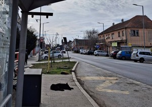 Vojka