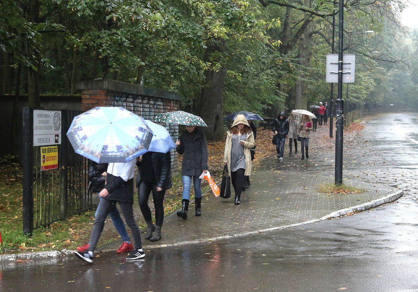 Autobus pojedzie przez rezerwat na Bielanach