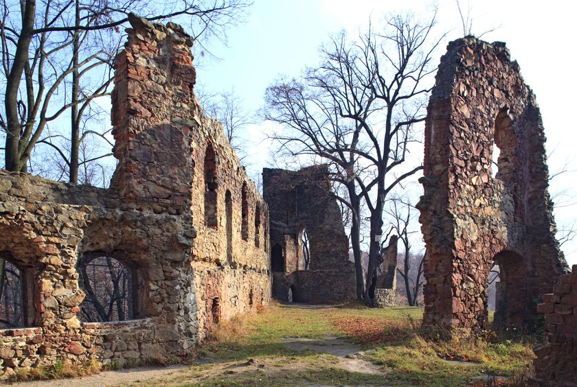 Stary Książ