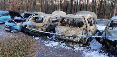 W Zielonej Górze znów spłonęły samochody. Czy w mieście grasuje podpalacz?